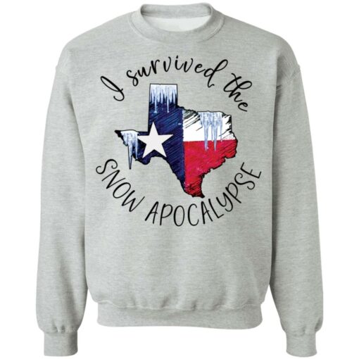 I survived the snow apocalypse Texas shirt $19.95 redirect02262021220226