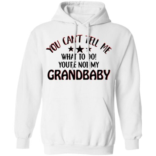 You can’t tell me what to do you’re not my grandbaby shirt $19.95