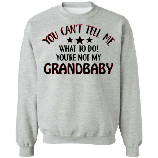 You can’t tell me what to do you’re not my grandbaby shirt $19.95