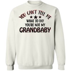 You can’t tell me what to do you’re not my grandbaby shirt $19.95