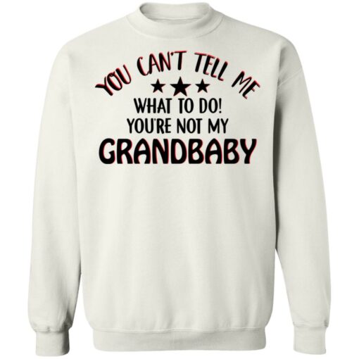 You can’t tell me what to do you’re not my grandbaby shirt $19.95 redirect03032021030300 9