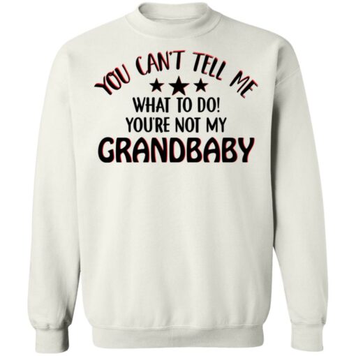 You can’t tell me what to do you’re not my grandbaby shirt $19.95