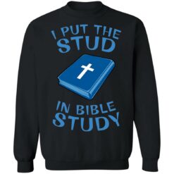 I put the stud in bible study shirt $19.95