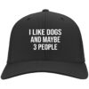 CP80 Twill Cap