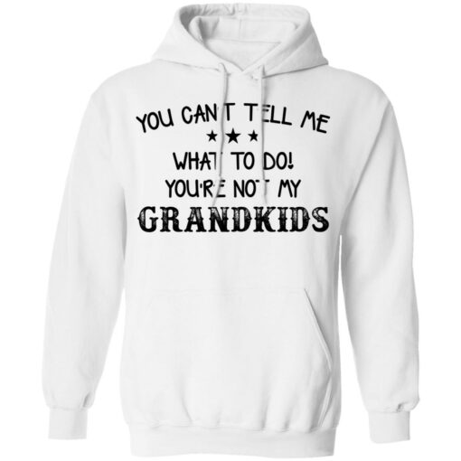 You can’t tell me what to do you’re not my grandkids shirt $19.95