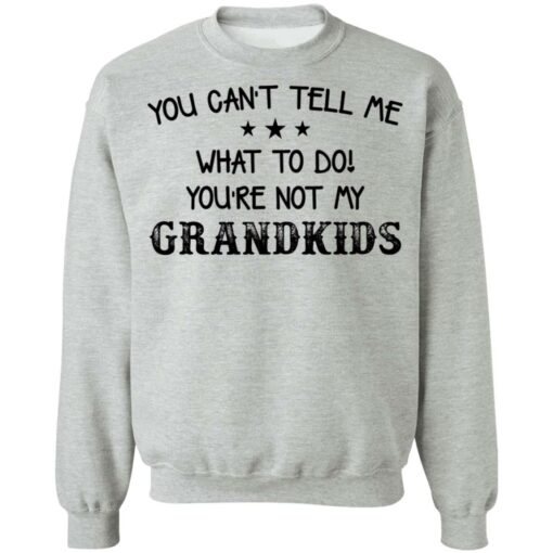 You can’t tell me what to do you’re not my grandkids shirt $19.95