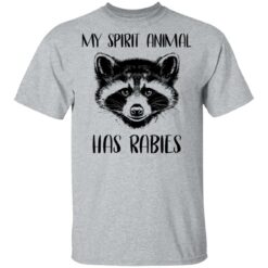 Raccoons my spirit animal has rabies shirt $19.95 redirect03152021020346 1