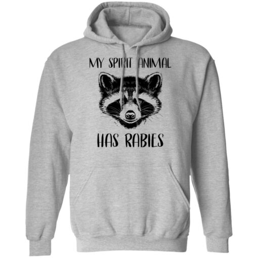 Raccoons my spirit animal has rabies shirt $19.95 redirect03152021020346 6