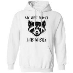 Raccoons my spirit animal has rabies shirt $19.95 redirect03152021020346 7
