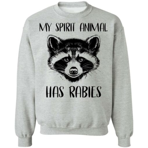 Raccoons my spirit animal has rabies shirt $19.95 redirect03152021020346 8