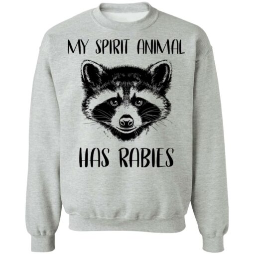 Raccoons my spirit animal has rabies shirt $19.95