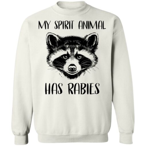 Raccoons my spirit animal has rabies shirt $19.95 redirect03152021020346 9