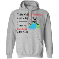 To the world my dachshund is just a dogs to me my dachshund is the world shirt $19.95