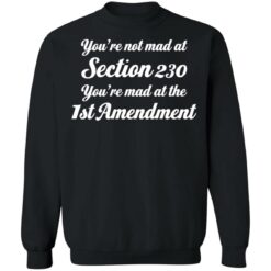 You’re not mad at section 230 you’re mad at the 1st amendment shirt $19.95 redirect05062021230504 8