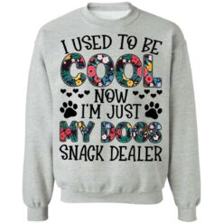I used to be cool now i’m just my dogs snack dealer shirt $19.95 redirect05102021040558 8