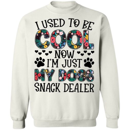 I used to be cool now i’m just my dogs snack dealer shirt $19.95 redirect05102021040558 9