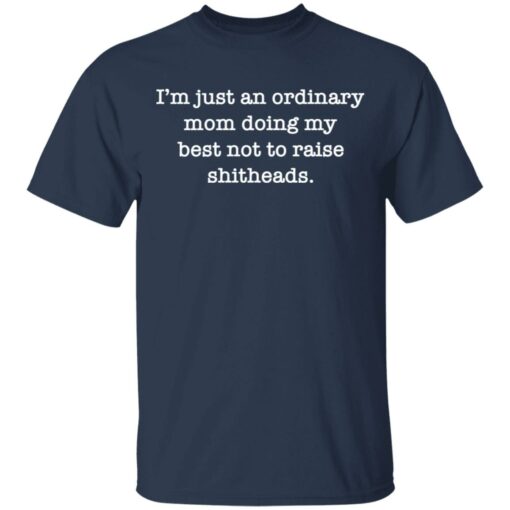 I’m just an ordinary mom doing my best not to raise shitheads shirt $19.95 redirect05102021230549 1