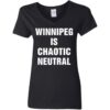 Ladies V-Neck T-Shirt