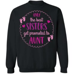 Only the best sisters get promoted to aunt shirt $19.95 redirect05252021000559 11