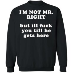 I’m not mr right but ill f*ck you till he gets here shirt $30.95
