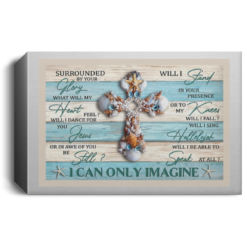 I can only imagine poster, canvas $21.95