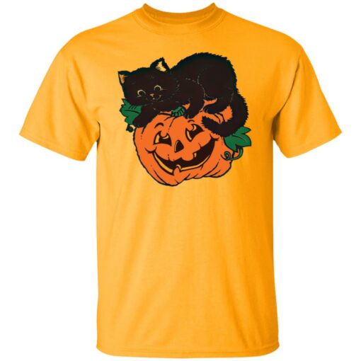 Pumpkin and black cat shirt $19.95