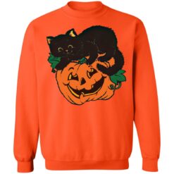Pumpkin and black cat shirt $19.95