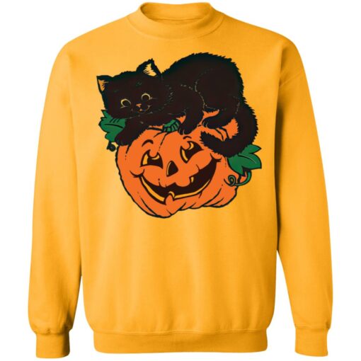 Pumpkin and black cat shirt $19.95