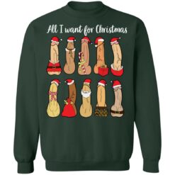 All I want for Christmas is penis Christmas sweater $19.95