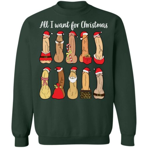 All I want for Christmas is penis Christmas sweater $19.95 redirect08062021040811 10