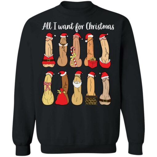 All I want for Christmas is penis Christmas sweater $19.95