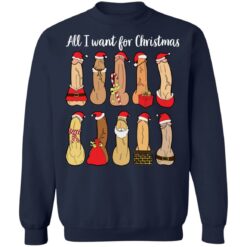 All I want for Christmas is penis Christmas sweater $19.95