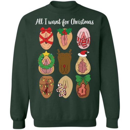 Vagina All I want for Christmas sweater $19.95 redirect08062021040837 10
