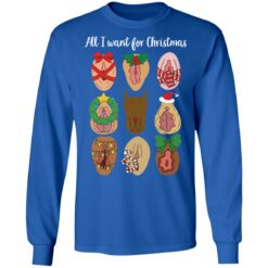 Vagina All I want for Christmas sweater $19.95