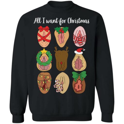 Vagina All I want for Christmas sweater $19.95