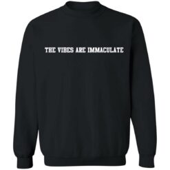 Jalen Brunson The Vibes Are Immaculate shirt $19.95 redirect10022021001020 4
