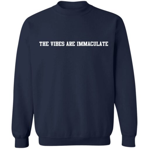 Jalen Brunson The Vibes Are Immaculate shirt $19.95 redirect10022021001020 5