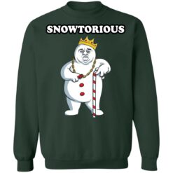 Snowtorious Christmas sweater $19.95 redirect10042021031026 8