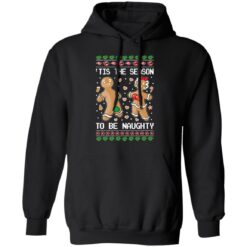 Tis the season to be naughty Christmas sweater $19.95