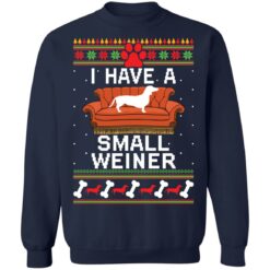 Dachshund i have a small weiner Christmas sweater $19.95