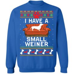 Dachshund i have a small weiner Christmas sweater $19.95