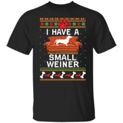 Dachshund i have a small weiner Christmas sweater $19.95