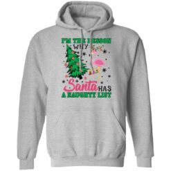 Flamingo I'm the reason why santa has a naught list Christmas sweater $19.95