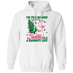 Flamingo I'm the reason why santa has a naught list Christmas sweater $19.95