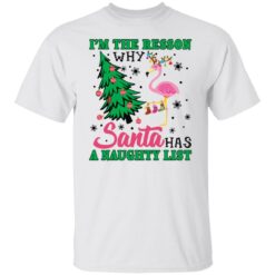 Flamingo I'm the reason why santa has a naught list Christmas sweater $19.95