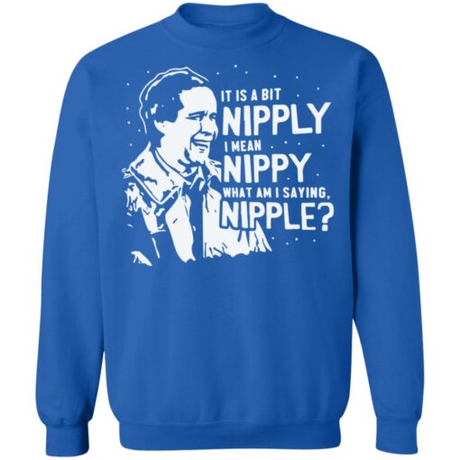 It is a bit Nipply i mean Nippy what am i saying Nipple Christmas sweater $19.95