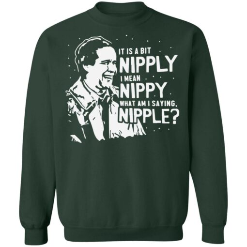 It is a bit Nipply i mean Nippy what am i saying Nipple Christmas sweater $19.95 redirect11012021231136
