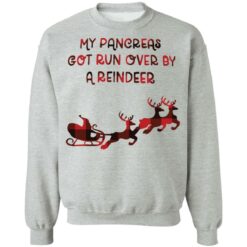 My Pancreas got run over by a reindeer shirt $19.95