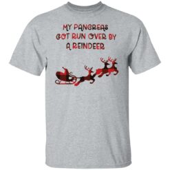 My Pancreas got run over by a reindeer shirt $19.95