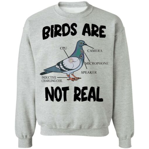 Birds are not real shirt $19.95 redirect03092022050336 4